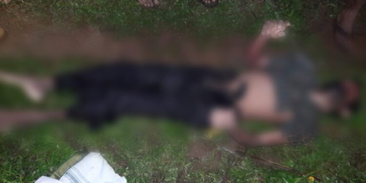 ವಿಟ್ಲ : ಹರಿಯುವ ನೀರಿನ ಹಳ್ಳಕ್ಕೆ ಬಿದ್ದು ವಸಂತ ನಾಯ್ಕ್ ಮೃತ್ಯು..!