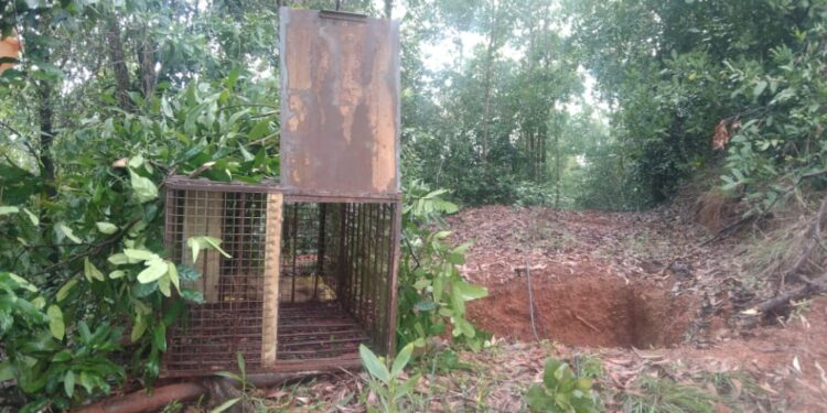 ವಿಟ್ಲ: ಕೊಳ್ನಾಡು ಗ್ರಾಮದ ಸುತ್ತಮುತ್ತ ಚಿರತೆ ಕಾಟ:;  “ಆಪರೇಶನ್ ಚೀತಾ” ಕಾರ್ಯಾಚರಣೆ ಮೊದಲ ಹಂತ ಬೋನ್ ಅಳವಡಿಕೆ