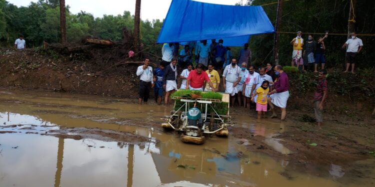 ನೈತ್ತಾಡಿ: ಶ್ರೀಮಹಾಲಿಂಗೇಶ್ವರ ದೇವರ ನೈವೇದ್ಯಕ್ಕಾಗಿ ಭತ್ತದ ಬೇಸಾಯ:;ನೇಜಿ ಯಂತ್ರ ನಾಟಿಗೆ ಚಾಲನೆ ನೀಡಿದ ಶಾಸಕ ಸಂಜೀವ ಮಠಂದೂರು