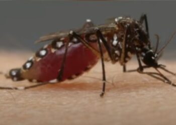 ಕೇರಳದಲ್ಲಿ ಮತ್ತೆ ಮೂವರಿಗೆ ‘ಝೀಕಾ’ ವೈರಸ್:; ಸೋಂಕಿತರ ಸಂಖ್ಯೆ18 ಕ್ಕೆ ಏರಿಕೆ