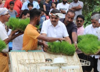 ಅಲೆತ್ತೂರು: ಗದ್ದೆಯಲ್ಲಿ ನೇಜಿ ನೆಡುವ ಕಾರ್ಯಕ್ರಮಕ್ಕೆ ಚಾಲನೆ ನೀಡಿದ ಮಾಜಿ ಜಿಲ್ಲಾ ಉಸ್ತುವಾರಿ ಸಚಿವ ರಮಾನಾಥ್ ರೈ