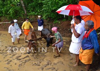 ಮುಳಿಯ ಫಾರ್ಮ್ ನಲ್ಲಿ ಗದ್ದೆಗಿಳಿದು ಉಳುಮೆ ಮಾಡಿ, ನೇಜಿ ನೆಟ್ಟ ಸಂಸದ ‘ನಳಿನ್‌ ಕುಮಾರ್‌’