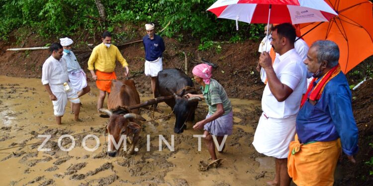 ಮುಳಿಯ ಫಾರ್ಮ್ ನಲ್ಲಿ ಗದ್ದೆಗಿಳಿದು ಉಳುಮೆ ಮಾಡಿ, ನೇಜಿ ನೆಟ್ಟ ಸಂಸದ ‘ನಳಿನ್‌ ಕುಮಾರ್‌’