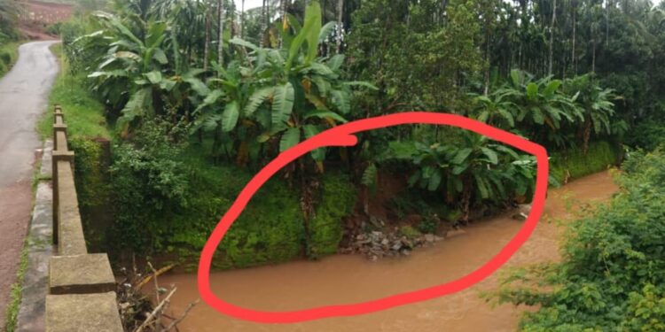 ವಿಟ್ಲ : ಭಾರೀ ಮಳೆಯಿಂದಾಗಿ ಸೇತುವೆಯ ತಡೆಗೋಡೆ ಕುಸಿತ..! ಅಪಾಯದಂಚಿನಲ್ಲಿ ಕಲ್ಲಮಜಲು ಸೇತುವೆ