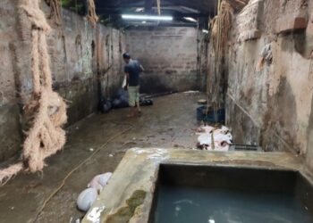 ಮಂಗಳೂರು: ಬಜರಂಗದಳದ ಕಾರ್ಯಕರ್ತರಿಂದ ಮಾಹಿತಿ:;ಕುದ್ರೋಳಿ ಕಸಾಯಿಖಾನೆಗೆ ಅಧಿಕಾರಿಗಳಿಂದ ದಾಳಿ..!