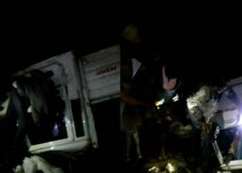 ಹಾಸನ: ಅಕ್ರಮವಾಗಿ 100 ಕರುಗಳನ್ನು ಸಾಗಿಸುತ್ತಿದ್ದ ವಾಹನ ಪಲ್ಟಿ : 50 ಕರುಗಳು ಸಾವು | 50 ಕರುಗಳ ರಕ್ಷಣೆ