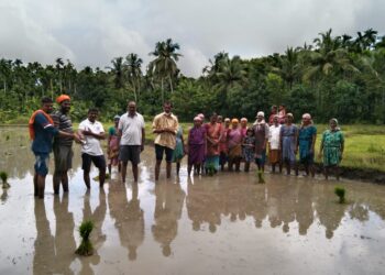 ವಿಟ್ಲ: ಶ್ರೀ ವಿಷ್ಣುಮೂರ್ತಿ ಯುವಕವೃಂದ (ರಿ)  ಕುಂಡಡ್ಕ, ಇಡ್ಕಿದು ಗ್ರಾ.ಪಂ., ಇಡ್ಕಿದು ಸೇವಾ ಸಹಕಾರಿ ಸಂಘದ ಸಹಯೋಗದೊಂದಿಗೆ ನೇಜಿ ನಾಟಿ ಕಾರ್ಯಕ್ರಮ