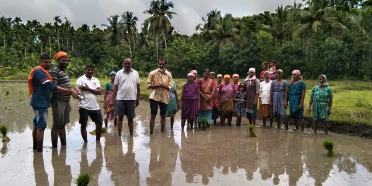 ವಿಟ್ಲ: ಶ್ರೀ ವಿಷ್ಣುಮೂರ್ತಿ ಯುವಕವೃಂದ (ರಿ)  ಕುಂಡಡ್ಕ, ಇಡ್ಕಿದು ಗ್ರಾ.ಪಂ., ಇಡ್ಕಿದು ಸೇವಾ ಸಹಕಾರಿ ಸಂಘದ ಸಹಯೋಗದೊಂದಿಗೆ ನೇಜಿ ನಾಟಿ ಕಾರ್ಯಕ್ರಮ