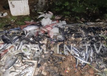 ಉಪ್ಪಿನಂಗಡಿ: ಮಧ್ಯರಾತ್ರಿ ಮೀನಿನ ಅಂಗಡಿಗೆ  ಬೆಂಕಿ ಹಚ್ಚಿದ ಕಿಡಿಗೇಡಿಗಳು…!!