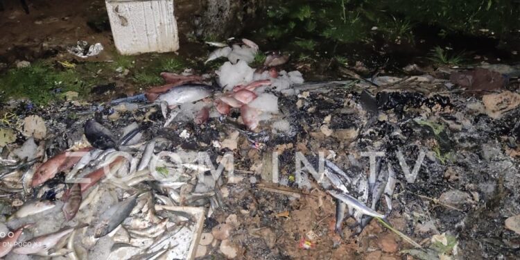 ಉಪ್ಪಿನಂಗಡಿ: ಮಧ್ಯರಾತ್ರಿ ಮೀನಿನ ಅಂಗಡಿಗೆ  ಬೆಂಕಿ ಹಚ್ಚಿದ ಕಿಡಿಗೇಡಿಗಳು…!!