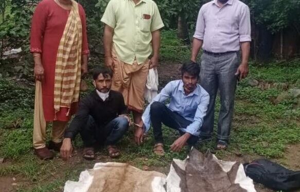 ಕೃಷ್ಣ ಮೃಗದ ಚರ್ಮ ಮಾರಾಟ ಜಾಲ ಪತ್ತೆ, ಇಬ್ಬರ ಬಂಧನ:; ಪುತ್ತೂರು ಪೊಲೀಸ್ ಅರಣ್ಯ ವಿಶೇಷ ಸಂಚಾರಿ ದಳದ ಕಾರ್ಯಾಚರಣೆ