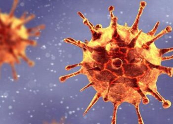 ದ.ಕ. ಜಿಲ್ಲೆಯಲ್ಲಿ ಕೊರೊನಾ ರೂಪಾಂತರಿ ವೈರಸ್ ‘ಇಟಾ’ ಪತ್ತೆ..!