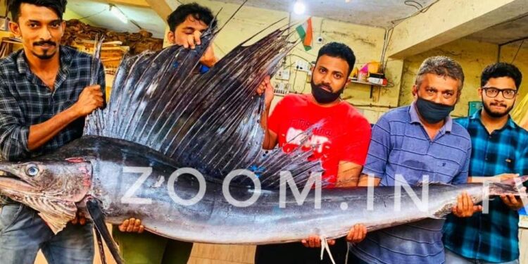 ಪುತ್ತೂರು: ಪ್ರಪ್ರಥಮ ಬಾರಿಗೆ ಮೀನು ಮಾರುಕಟ್ಟೆಗೆ ಬಂತು 47 ಕೆಜಿ ತೂಕದ ಮೀನು…!