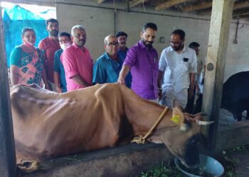 ಕನ್ನೆಪ್ಪಾಡಿ: ಆಶ್ರಮದಲ್ಲಿ ಪ್ರಧಾನಿ ಮೋದಿ ಜನ್ಮದಿನಾಚರಣೆ:; ಬಿಜೆಪಿ ರಾಜ್ಯಾಧ್ಯಕ್ಷ ಕೆ.ಸುರೇಂದ್ರನ್ ರಿಂದ ಗೋಗ್ರಾಸ ಸಮರ್ಪಣೆ, ಅನ್ನದಾನ