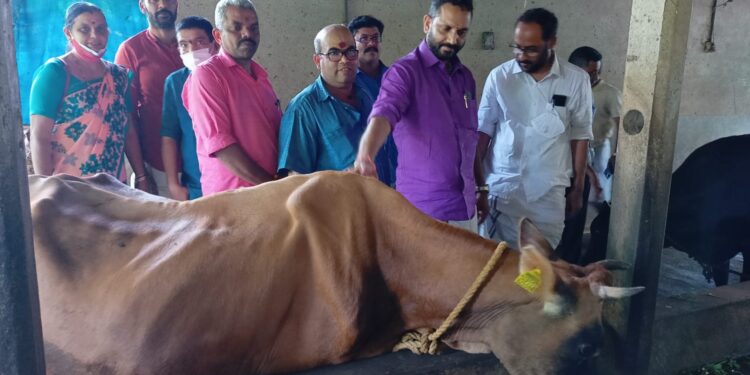ಕನ್ನೆಪ್ಪಾಡಿ:  ಆಶ್ರಮದಲ್ಲಿ ಪ್ರಧಾನಿ ಮೋದಿ ಜನ್ಮದಿನಾಚರಣೆ:;  ಬಿಜೆಪಿ ರಾಜ್ಯಾಧ್ಯಕ್ಷ ಕೆ.ಸುರೇಂದ್ರನ್ ರಿಂದ ಗೋಗ್ರಾಸ ಸಮರ್ಪಣೆ, ಅನ್ನದಾನ