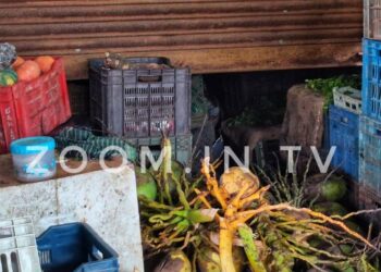 ಪುತ್ತೂರು: ಕೃಷ್ಣನಗರ ಚರ್ಚ್ ಬಳಿಯ ಅಂಗಡಿಗಳಿಗೆ ಕನ್ನ:; ಸಿಗರೇಟು, ಗುಡ್ಕಾ ಹಾಗೂ ನಗದು ಕಳವು