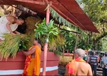 ಪುತ್ತೂರು: ತೆನೆ ಹಬ್ಬದ ಸಂಭ್ರಮ: ಶ್ರೀ ಮಹಾಲಿಂಗೇಶ್ವರ ದೇವಸ್ಥಾನದಲ್ಲಿ ಕದಿರು ವಿನಿಯೋಗ