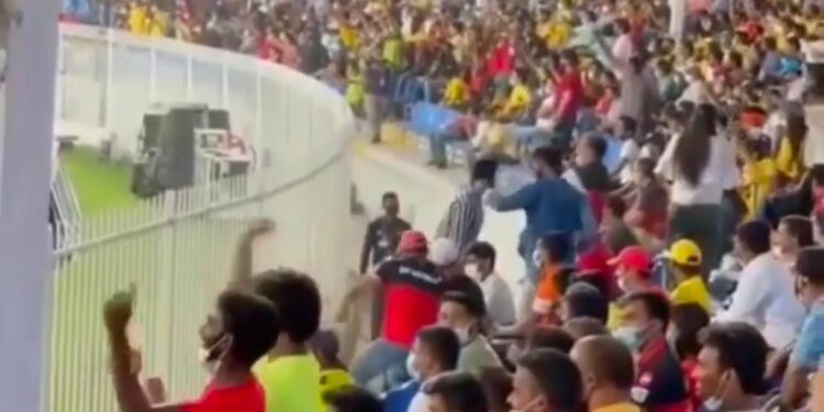 ಶಾರ್ಜಾ ಸ್ಟೇಡಿಯಂನ ಐಪಿಎಲ್ ಹೈವೋಲ್ಟೇಜ್ ಪಂದ್ಯದಲ್ಲಿ ಧೂಳೆಬ್ಬಿಸಿದ ಕರಾವಳಿಯ ‘ಪಿಲಿನಲಿಕೆ’