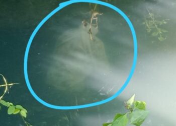 ಸುಳ್ಯ: ವ್ಯಕ್ತಿಯೋರ್ವ ಬಾವಿಗೆ ಬಿದ್ದು ಸಾವು..!!