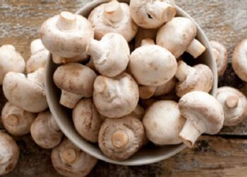 ಪುತ್ತೂರು: ಅಣಬೆ ಪದಾರ್ಥ ಸೇವಿಸಿ ಒಂದೇ ಕುಟುಂಬದ 12 ಮಂದಿ ಅಸ್ವಸ್ಥ..!! ಇಬ್ಬರ ಸ್ಥಿತಿ ಗಂಭೀರ