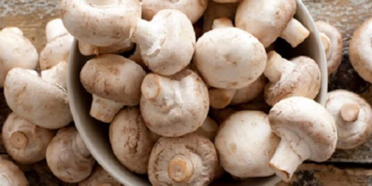 ಪುತ್ತೂರು: ಅಣಬೆ ಪದಾರ್ಥ ಸೇವಿಸಿ ಒಂದೇ ಕುಟುಂಬದ 12 ಮಂದಿ ಅಸ್ವಸ್ಥ..!! ಇಬ್ಬರ ಸ್ಥಿತಿ ಗಂಭೀರ