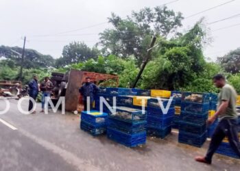 ಪುತ್ತೂರು: ಕೋಳಿ ಸಾಗಾಟದ ಲಾರಿ ಹೆಚ್.ಟಿ ಲೈನ್ ಗೆ ಡಿಕ್ಕಿಯಾಗಿ ಪಲ್ಟಿ..!!  ಹೆದ್ದಾರಿ ಪೂರ್ತಿ ಕೋಳಿಗಳದ್ದೇ ರಾಶಿ