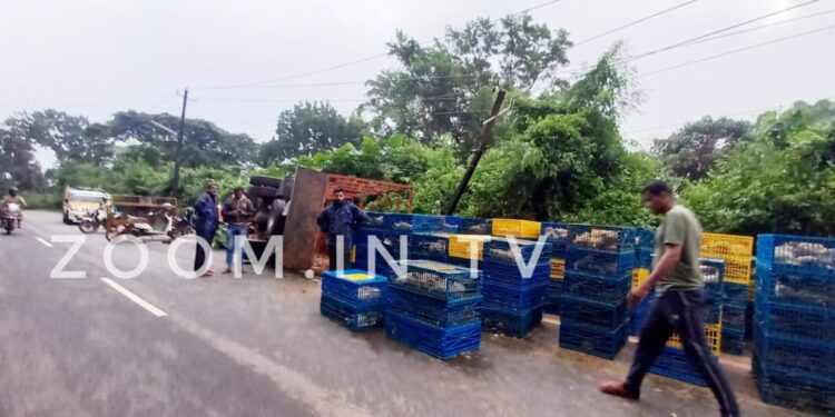 ಪುತ್ತೂರು: ಕೋಳಿ ಸಾಗಾಟದ ಲಾರಿ ಹೆಚ್.ಟಿ ಲೈನ್ ಗೆ ಡಿಕ್ಕಿಯಾಗಿ ಪಲ್ಟಿ..!!  ಹೆದ್ದಾರಿ ಪೂರ್ತಿ ಕೋಳಿಗಳದ್ದೇ ರಾಶಿ