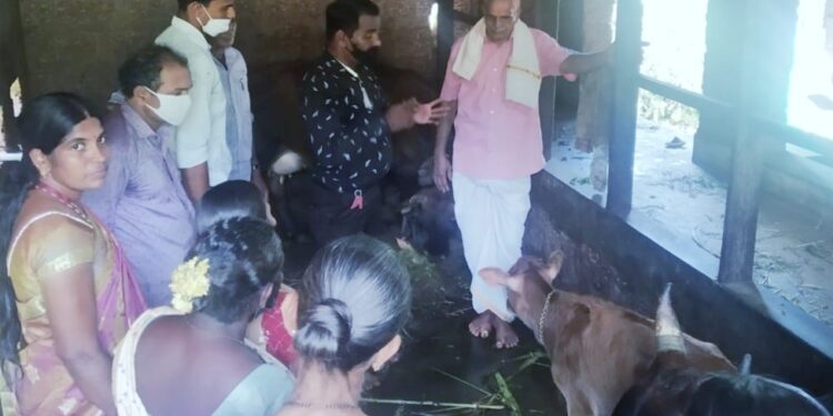 ವಿಟ್ಲ: ಹೈನುಗಾರಿಕೆ  ಬಗ್ಗೆ ಪ್ರಾತ್ಯಕ್ಷಿಕೆ, ಕೊಟ್ಟಿಗೆ ರಚನೆ, ಹಸುಗಳ ಆಯ್ಕೆ ಹಾಗೂ ಕರುಗಳ ನಿರ್ವಹಣೆ ಬಗ್ಗೆ ಮಾಹಿತಿ ಶಿಬಿರ