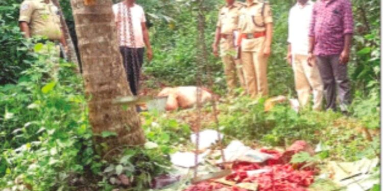 ಉದನೆ: ವಿ.ಹಿಂ.ಪ ಬಜರಂಗದಳ ಮಾಹಿತಿ ಮೇರೆಗೆ ಅಕ್ರಮ ಕಸಾಯಿಖಾನೆಗೆ ಪೊಲೀಸರ ದಾಳಿ:; 50 ಕೆಜಿ ದನದ ಮಾಂಸ ವಶ, ಓರ್ವನ ಬಂಧನ..!!