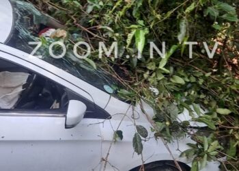 ಕಾಣಿಯೂರು: ಚಾಲಕನ ನಿಯಂತ್ರಣ ತಪ್ಪಿ ಕುಕ್ಕೆ ಸುಬ್ರಹಣ್ಯದಿಂದ ಪುತ್ತೂರಿಗೆ ಬರುತ್ತಿದ್ದ ಕಾರು ಅಪಘಾತ..!! ಐವರಿಗೆ ಗಾಯ, ಓರ್ವ ಗಂಭೀರ