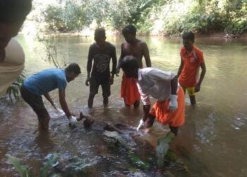 ಉಬರಡ್ಕ: ಹೊಳೆಯಲ್ಲಿ ಸ್ನಾನಕ್ಕಿಳಿದ ವ್ಯಕ್ತಿ ನೀರಿನಲ್ಲಿ ಮುಳುಗಿ ಸಾವು..!!