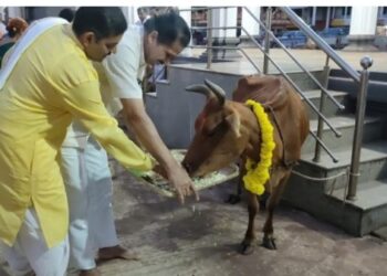 ಪುತ್ತೂರು: ಶ್ರೀ ಮಹಾಲಿಂಗೇಶ್ವರ ದೇವಸ್ಥಾನದಲ್ಲಿ ದೇವಳದ ವ್ಯವಸ್ಥಾಪನಾ ಸಮಿತಿ ಮತ್ತು ವಿಶ್ವಹಿಂದೂ ಪರಿಷದ್ ಸಹಯೋಗದಲ್ಲಿ ‘ಗೋ ಪೂಜೆ’