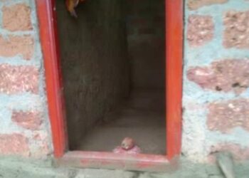 ವಿಟ್ಲ: ಮಹಿಳೆ ಮತ್ತು ಮಕ್ಕಳು ಮಾತ್ರ ಮನೆಯಲ್ಲಿದ್ದ ವೇಳೆ ಅಕ್ರಮ ಪ್ರವೇಶ ಮಾಡಿ ಜೀವ ಬೆದರಿಕೆ;; ವಾಮಾಚಾರ ನಡೆಸಿ ಮನೆ ಸೊತ್ತುಗಳನ್ನು ಕಳವುಗೈದು, ಕುಡಿಯುವ ನೀರಿಗೆ ವಿಷ ಬೆರೆಸಿದ ಆರೋಪ..!!