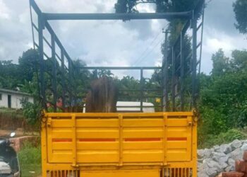 ಮೇಯುತ್ತಿದ್ದ ದನವನ್ನು ಕದ್ದೊಯ್ದು ಮಾರಾಟಕ್ಕೆ ಯತ್ನ..!! ಮೂವರ ಬಂಧನ, ಓರ್ವ ಪರಾರಿ