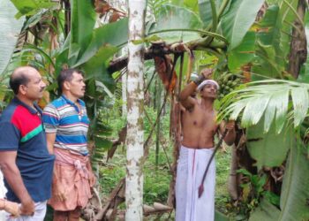 ಬೆಟ್ಟಂಪಾಡಿ: ಜಾತ್ರೆಗೆ ಗೊನೆ ಮುಹೂರ್ತ:; (ನ.19 – 21) ವರ್ಷಾವಧಿ ಜಾತ್ರಾಮಹೋತ್ಸವ