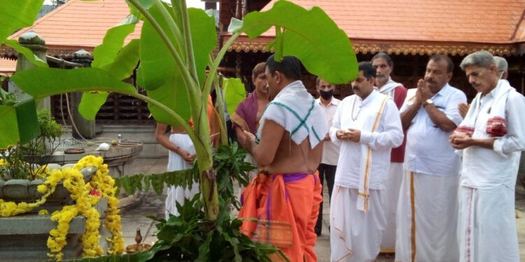 ಪುತ್ತೂರು: ಶ್ರೀ ಮಹಾಲಿಂಗೇಶ್ವರ ದೇವಸ್ಥಾನದಲ್ಲಿ ‘ತುಳಸಿ ಪೂಜೆ’
