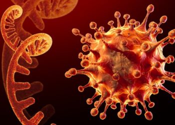 ‘ನೊರೊ ವೈರಸ್’:; ಗಡಿ ಜಿಲ್ಲೆಗಳಲ್ಲಿ ಮುನ್ನೆಚ್ಚರಿಕೆಗೆ ಸೂಚನೆ