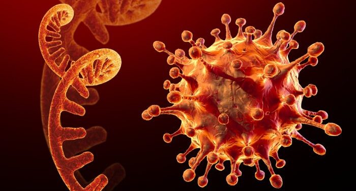 ‘ನೊರೊ ವೈರಸ್’:; ಗಡಿ ಜಿಲ್ಲೆಗಳಲ್ಲಿ ಮುನ್ನೆಚ್ಚರಿಕೆಗೆ ಸೂಚನೆ