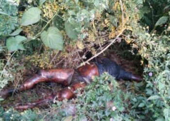 ಸುಳ್ಯ: ಅಪರಿಚಿತ ಮೃತದೇಹ ಕೊಳೆತ ಸ್ಥಿತಿಯಲ್ಲಿ ಪತ್ತೆ..!!