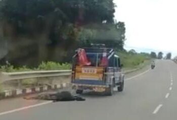 ಉಡುಪಿ: ಸತ್ತ ಹಸುವನ್ನು ಟೋಯಿಂಗ್ ವಾಹನಕ್ಕೆ ಕಟ್ಟಿ ರಸ್ತೆಯಲ್ಲೇ ಎಳೆದೊಯ್ದು ಅಮಾನವೀಯತೆ.!! ನಿಮಗೆ ಗೋವಿನ ಶಾಪ ತಟ್ಟದೆ ಇರುವುದಿಲ್ಲ –  ಹಿಂದೂ ಸಂಘಟನೆ ಆಕ್ರೋಶ