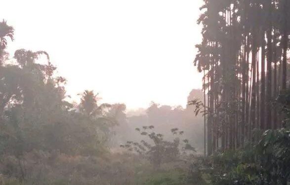 ಚಳಿಗಾಲ ಮುಗಿಯಲು ಕೆಲವೇ ದಿನಗಳಿರುವಾಗ ಕರಾವಳಿಯಲ್ಲಿ ತೀವ್ರಗೊಂಡ ಚಳಿ