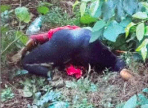 ಶಿರಾಡಿಘಾಟ್‌: ಅಪರಿಚಿತ ಮಹಿಳೆಯ ಮೃತದೇಹ ಕೊಳೆತ ಸ್ಥಿತಿಯಲ್ಲಿ ಪತ್ತೆ..!!