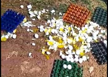 ವಿಟ್ಲ: ಮೊಟ್ಟೆ ಬಾಕ್ಸ್ ಇಟ್ಟ ವಿಚಾರವಾಗಿ ಪತಿ ಮತ್ತು ಪತ್ನಿ ಮೇಲೆ ಹಲ್ಲೆ..!! ಆರೋಪಿ ವಿರುದ್ಧ ಎರಡು ಪ್ರತ್ಯೇಕ ಪ್ರಕರಣ ದಾಖಲು