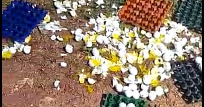 ವಿಟ್ಲ: ಮೊಟ್ಟೆ ಬಾಕ್ಸ್ ಇಟ್ಟ ವಿಚಾರವಾಗಿ ಪತಿ ಮತ್ತು ಪತ್ನಿ ಮೇಲೆ ಹಲ್ಲೆ..!! ಆರೋಪಿ ವಿರುದ್ಧ ಎರಡು ಪ್ರತ್ಯೇಕ ಪ್ರಕರಣ ದಾಖಲು