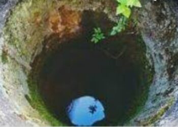 ಕೊಳ್ನಾಡು: ಆಕಸ್ಮಿಕವಾಗಿ ಬಾವಿಗೆ ಬಿದ್ದ ಯುವತಿಯನ್ನು ರಕ್ಷಿಸಿದ ಸ್ಥಳೀಯ ಯುವಕರ ತಂಡ: ಸಾರ್ವಜನಿಕ ವಲಯದಲ್ಲಿ ವ್ಯಾಪಕ ಪ್ರಶಂಸೆ