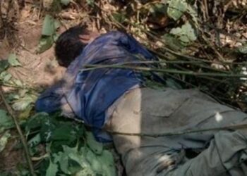 ಮದೆನಾಡು: ಕಾಡನೆ ದಾಳಿ: ತೋಟದ ಕೆಲಸಕ್ಕೆ ತೆರಳಿದ್ದ ವ್ಯಕ್ತಿ ಸಾವು..!!