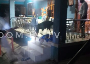 ವಿಟ್ಲ: ಒಂಟಿ ಮಹಿಳೆ ಇದ್ದ ಮನೆಯಲ್ಲಿ ಕಳವುಗೈದ ಪ್ರಕರಣ: ತನಿಖೆ ಕೈಗೆತ್ತಿಕೊಂಡ ವಿಟ್ಲ ಪೊಲೀಸರು: ಸ್ಥಳಕ್ಕೆ ಶ್ವಾನದಳ ಭೇಟಿ..!!