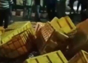 ಮಂಗಳೂರು: ನಿಯಂತ್ರಣ ತಪ್ಪಿ ಮೀನು ಸಾಗಾಟದ ಲಾರಿ ಪಲ್ಟಿ: ಹೆದ್ದಾರಿಯಲ್ಲಿ ಚೆಲ್ಲಾಪಿಲ್ಲಿಯಾದ ಮೀನು..!!