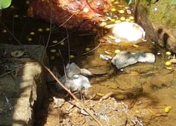 ಎಲ್ಲೆಂದರಲ್ಲಿ ತ್ಯಾಜ್ಯಗಳ ರಾಶಿ, ಪ್ರಾಣಿಗಳ ಅಂಗಾಂಗ.!! ವೀರಕಂಭ ಗ್ರಾಮ ಪಂಚಾಯತ್ ಆಡಳಿತ ವ್ಯವಸ್ಥೆಗೆ ಗ್ರಾಮಸ್ಥರ ಹಿಡಿಶಾಪ.!!!