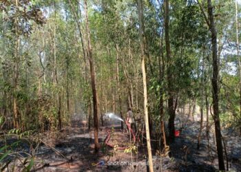 ವಿಟ್ಲ: ಗುಡ್ಡಕ್ಕೆ ಬೆಂಕಿ: ಅಗ್ನಿಶಾಮಕದಳದಿಂದ ಕಾರ್ಯಾಚರಣೆ